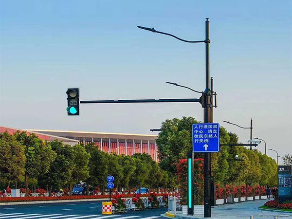 綜合路燈桿 HZ-ZHLDG-002