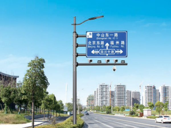 綜合路燈桿 HZ-ZHLDG-004