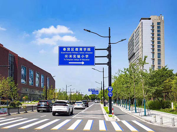 綜合路燈桿 HZ-ZHLDG-008