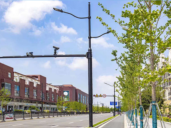 綜合路燈桿 HZ-ZHLDG-012